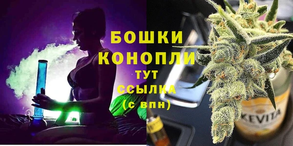 ПСИЛОЦИБИНОВЫЕ ГРИБЫ Новозыбков