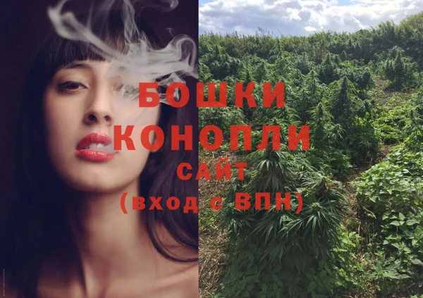 ПСИЛОЦИБИНОВЫЕ ГРИБЫ Новозыбков