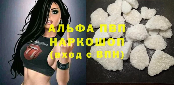 ПСИЛОЦИБИНОВЫЕ ГРИБЫ Новозыбков