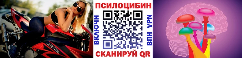 Галлюциногенные грибы MAGIC MUSHROOMS  кракен   Ступино  наркотики 