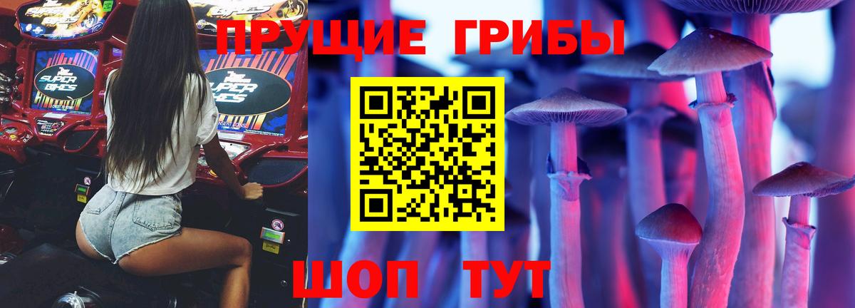 Псилоцибиновые грибы Psilocybe  Вход с VPN  Галлюциногенные грибы MAGIC MUSHROOMS  наркотики  Ступино 